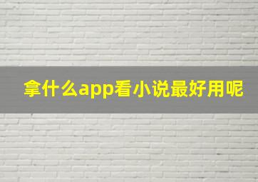 拿什么app看小说最好用呢