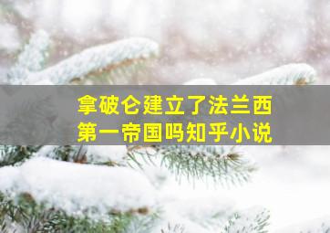 拿破仑建立了法兰西第一帝国吗知乎小说