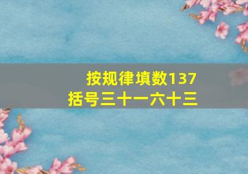 按规律填数137括号三十一六十三