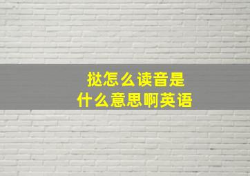 挞怎么读音是什么意思啊英语