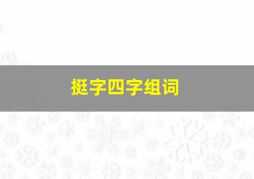 挺字四字组词