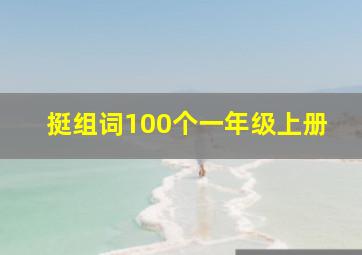 挺组词100个一年级上册