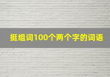 挺组词100个两个字的词语