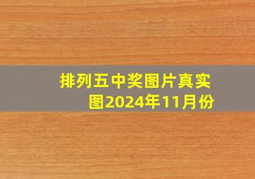 排列五中奖图片真实图2024年11月份