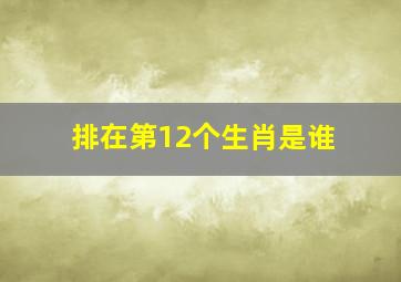 排在第12个生肖是谁