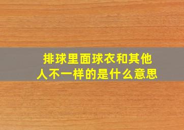 排球里面球衣和其他人不一样的是什么意思