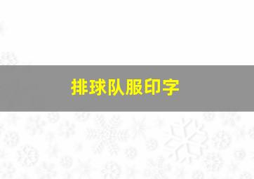 排球队服印字