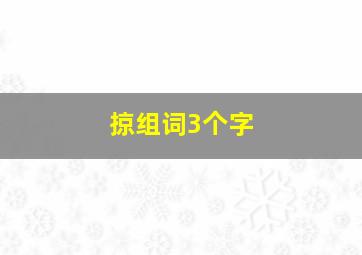 掠组词3个字