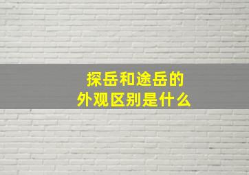 探岳和途岳的外观区别是什么