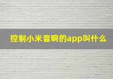 控制小米音响的app叫什么