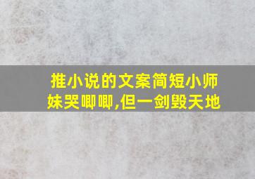 推小说的文案简短小师妹哭唧唧,但一剑毁天地