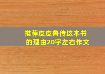 推荐皮皮鲁传这本书的理由20字左右作文