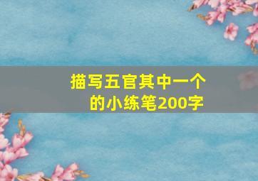 描写五官其中一个的小练笔200字