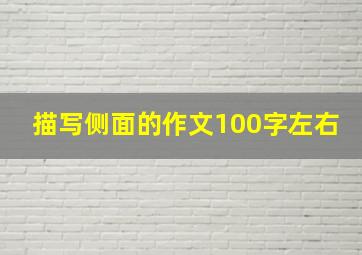 描写侧面的作文100字左右