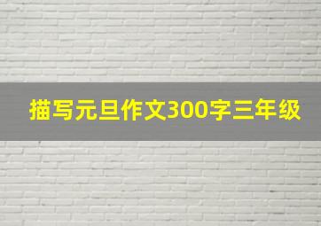 描写元旦作文300字三年级