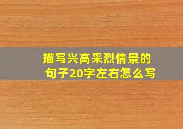 描写兴高采烈情景的句子20字左右怎么写