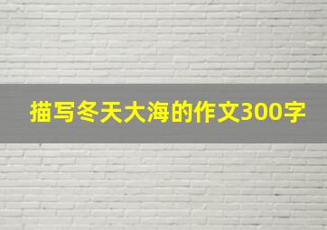 描写冬天大海的作文300字