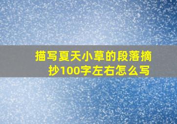 描写夏天小草的段落摘抄100字左右怎么写