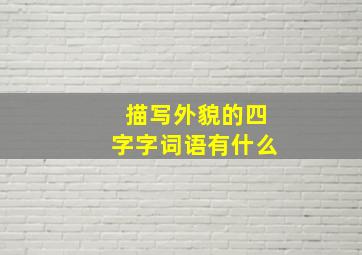 描写外貌的四字字词语有什么