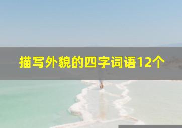 描写外貌的四字词语12个