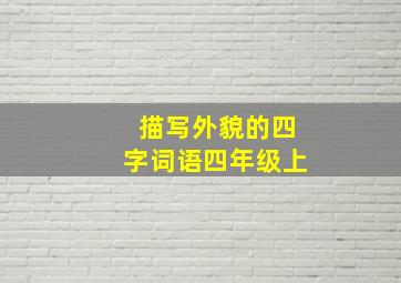 描写外貌的四字词语四年级上