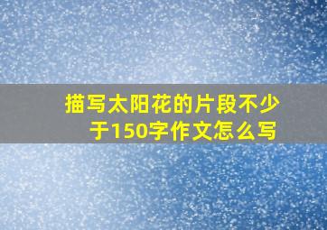 描写太阳花的片段不少于150字作文怎么写