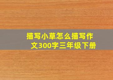 描写小草怎么描写作文300字三年级下册