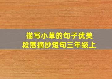 描写小草的句子优美段落摘抄短句三年级上