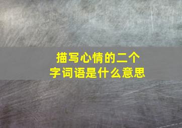 描写心情的二个字词语是什么意思