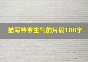 描写爷爷生气的片段100字