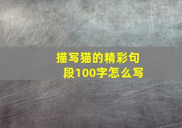 描写猫的精彩句段100字怎么写