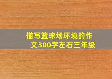 描写篮球场环境的作文300字左右三年级