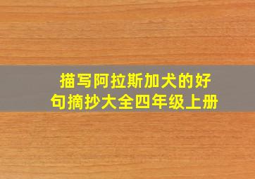 描写阿拉斯加犬的好句摘抄大全四年级上册