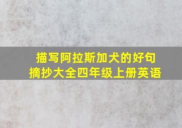 描写阿拉斯加犬的好句摘抄大全四年级上册英语