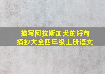 描写阿拉斯加犬的好句摘抄大全四年级上册语文