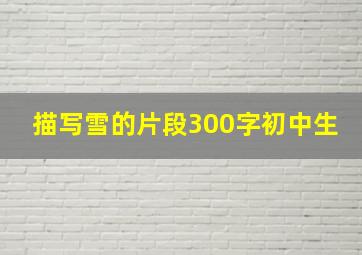 描写雪的片段300字初中生