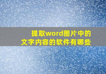 提取word图片中的文字内容的软件有哪些