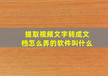 提取视频文字转成文档怎么弄的软件叫什么