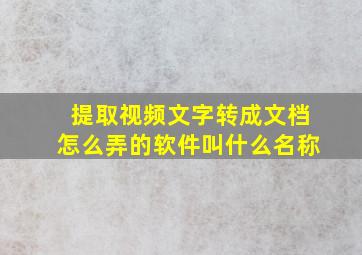 提取视频文字转成文档怎么弄的软件叫什么名称