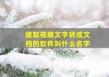 提取视频文字转成文档的软件叫什么名字