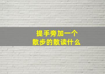 提手旁加一个散步的散读什么