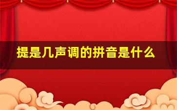 提是几声调的拼音是什么