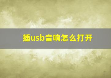 插usb音响怎么打开