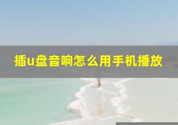 插u盘音响怎么用手机播放