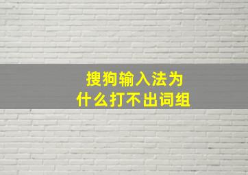 搜狗输入法为什么打不出词组