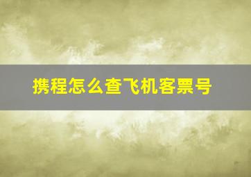 携程怎么查飞机客票号