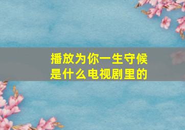 播放为你一生守候是什么电视剧里的