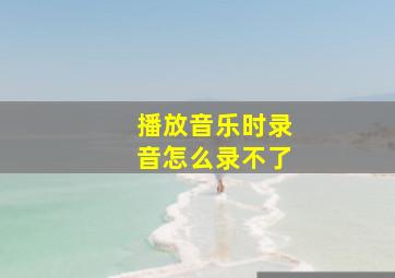 播放音乐时录音怎么录不了