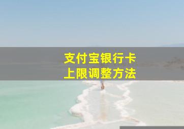 支付宝银行卡上限调整方法