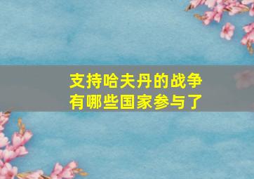 支持哈夫丹的战争有哪些国家参与了